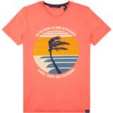 👉 Shirt jongens O'Neill Palm Junior 8719403631477
