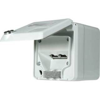 👉 Wandcontactdos active Opus ROBUST wandcontactdoos RJ45 contactdoos opbouw 4028232217276