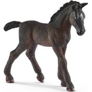 👉 SCHLEICH Lipizzaner Veulen 13820