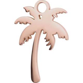 👉 Edelstaal vrouwen nederlands ros goud IXXXi Charm Palm Tree Rosé 8719794028061