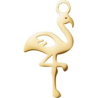 👉 Edelstaal goud vrouwen nederlands IXXXi Charm Flamingo 8719794028085