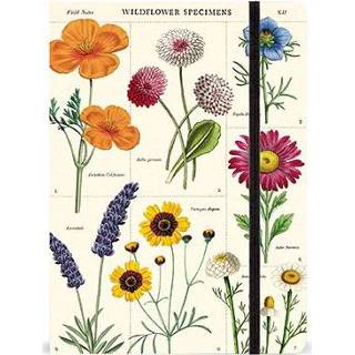 👉 Notitieboek large Cavallini Co Notitieboekje Wildflowers 9781635447354