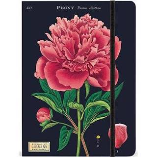👉 Notitieboek large Cavallini Co Notitieboekje Botany 9781635447323