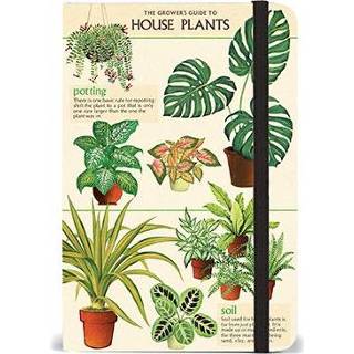 👉 Notitieboek Cavallini Co Notitieboekje A6 House Plants 9781635447378