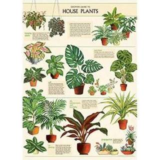 👉 Vintage poster Cavallini Co House Plants 9781635448122