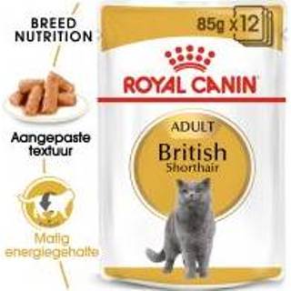 👉 Kattenvoer 12 x 85 g Royal Canin - Breed British Shorthair 9003579001240