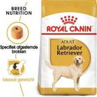 👉 3kg Labrador Retriever Adult Royal Canin Hondenvoer