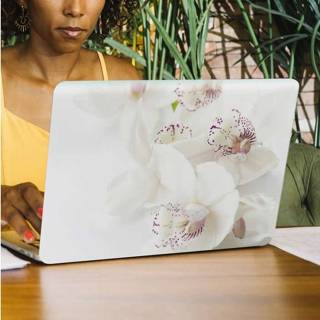 👉 Orchidee witte nederlands laptop huid