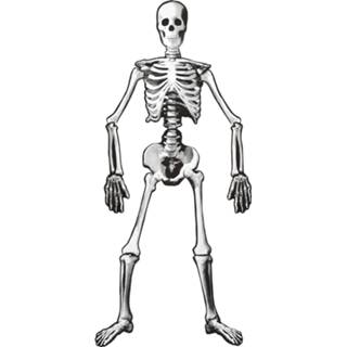 👉 Active Skelet van 134cm decoratie 8003558081646