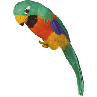 👉 Groene active Jungle papegaai 8003558307425