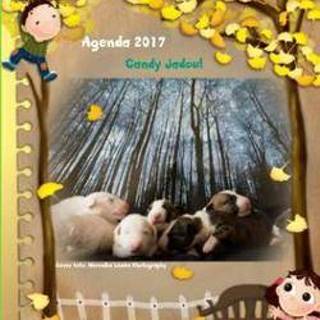 👉 Agenda klein bull terrier friends: 2017. Jadoul, Candy, onb.uitv. 9789463428651