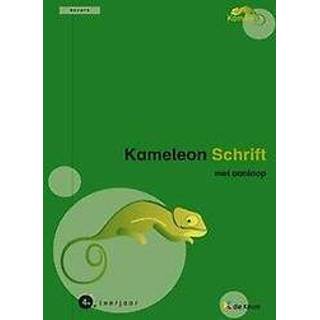 👉 Schrift KAMELEON 4 - RECHTS MET AANLOOP. PAPPIJN, NIC, onb.uitv. 9789048615575