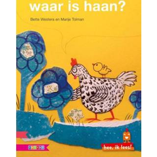 👉 Waar Is Haan?