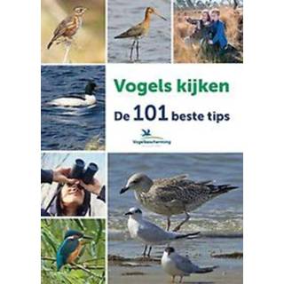 👉 Vogels kijken