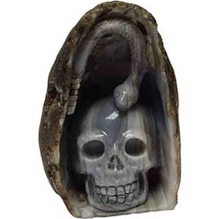 👉 Agaat active Edelstenen Schedel met Slang 8718561016133