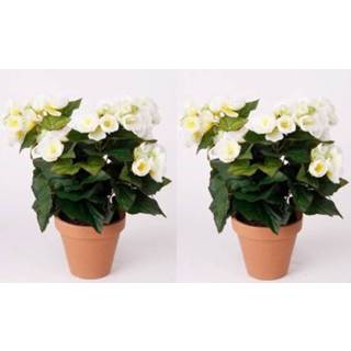 👉 Kunstplant wit 2x Begonia 30 cm