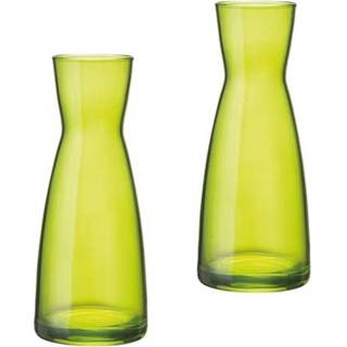 👉 Vaas groene Set van 2 stuks vazen of karaffen 20.5 cm