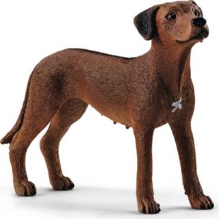 👉 Schleich Farm World Rhodesian Ridgeback 4059433007229