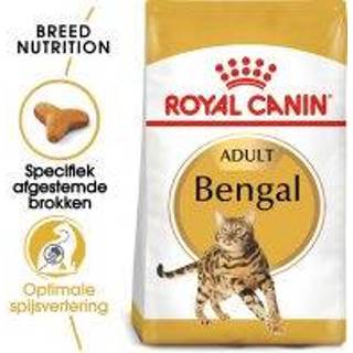 👉 Katten voer 2 kg Royal Canin Bengal Kattenvoer 3182550865111 3182550864091