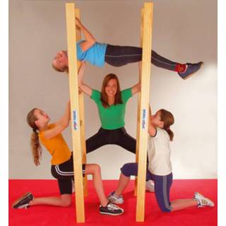 👉 Acrobatiekladder-set