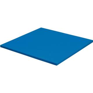 👉 Blauw unisize kinderen Sport-Thieme judo mat 