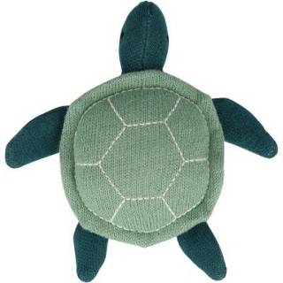 👉 Rammelaar Meri Schildpad 9781534029835