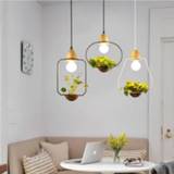 👉 Hanger Modern Simple Creative Iron Plant Pot Pendant Lamps Restaurant Living Room Cafe Bar Decoration Wood and Glass Lights