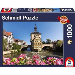 👉 Puzzel active Bamberg Regnitz en het oude stadshuis 1000 stukjes - 4001504583972