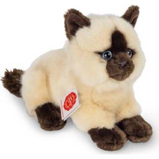 👉 Jongens beige Teddy HERMANN® Siamese kat liggend, 20 cm 4004510918301