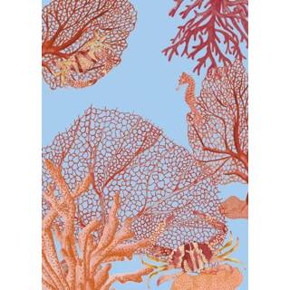 👉 Poster blauw nederlands &INK Aqua A4 - 8719325945218