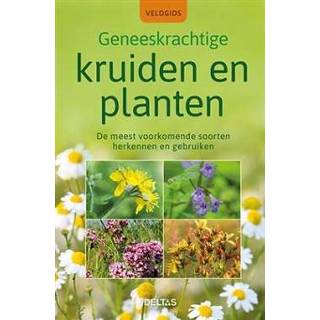 👉 Veldgids - Geneeskrachtige kruiden en planten Boek Elfrune Wendelberger (9044757024) 9789044757026