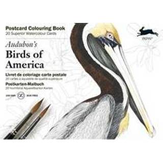 👉 Boek Audubon's birds of America - Pepin van Roojen (946009628X) 9789460096280