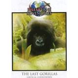 👉 Alle leeftijden nederlands Jules Verne - The Last Gorillas 8717662561436
