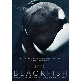 👉 Frans Gabriela Cowperthwaite Blackfish 9789461872081