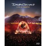 👉 Alle leeftijden David Gilmour - Live At Pompeii 889854674298