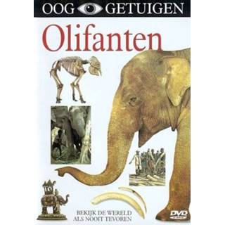 👉 Alle leeftijden Olifanten 5400644022119