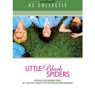 👉 Little Black Spiders
