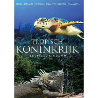 👉 Alle leeftijden engels In “Tropisch Koninkrijk” Een Kennismaking Met De Natuurparken Zowel Onder Als Boven Water. Overkoepelende Natuurorganisatie Dcna Maakt Zich Daar Geen Ander Hard Voor. 8717377006499
