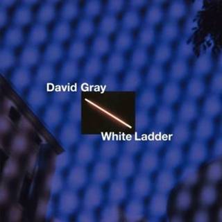 👉 Ladder wit David Gray White 5056167117933