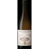 👉 Witte Zuid-Afrika stellenbosch wit kurk Sauvignon Blanc frisse wijn lekker fris Mooiplaas Wine Estate 2018, Stellenbosch, Zuid-Afrika,