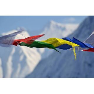 👉 Vlaggen lijn Vlaggenlijn Tibetaanse gebedsvlaggen l rechthoekig 7435127419467