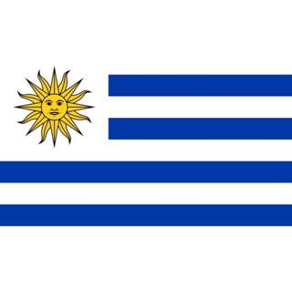 👉 Vlag Uruguay | Uruguayaanse vlaggen 60x90cm Best Value 7430439467427