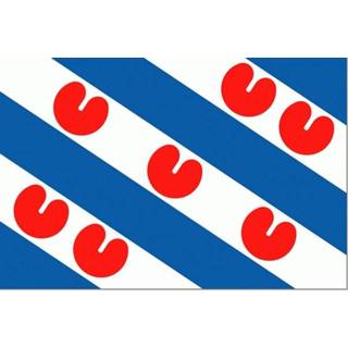 👉 Friese vlag 20x30cm 7430439061038