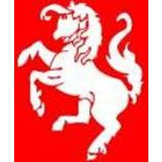 👉 Vlag Twente 20x30cm 7430439167112