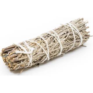 👉 Witte Salie Shasta Sage Smudge Stick (12 cm) 7448143586501