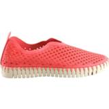 👉 Instappers vrouwen roze tulip3275-890 rasberry