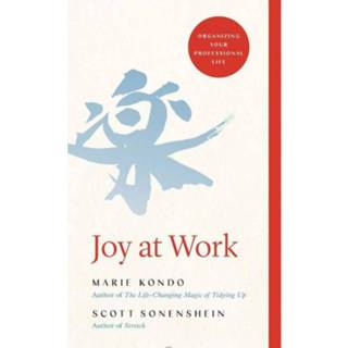 Engels Joy at Work 9781529005370