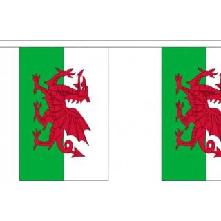 👉 Vlaggenlijn active Wales Welshe 3m 7435127595550