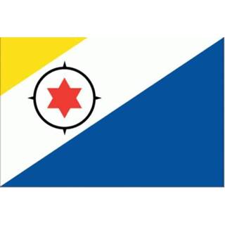 👉 Tafelvlag active Tafelvlaggen Bonaire | Bonairiaans tafel vlaggetje 10x15cm kopen bij Vlaggenclub 7430439367369