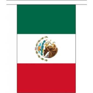 👉 Vlaggenlijn active Mexico 3 meter 7435127614688
